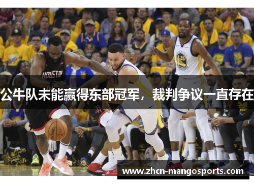公牛队未能赢得东部冠军，裁判争议一直存在