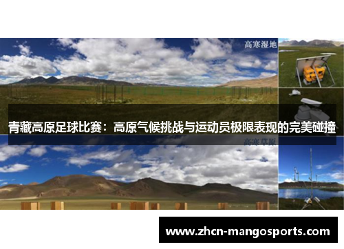 青藏高原足球比赛：高原气候挑战与运动员极限表现的完美碰撞