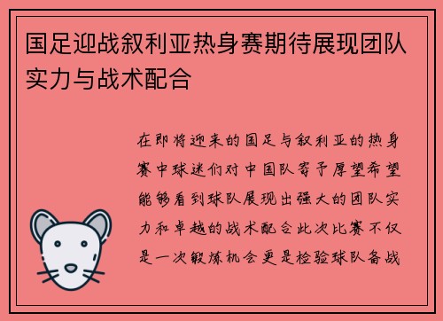 国足迎战叙利亚热身赛期待展现团队实力与战术配合